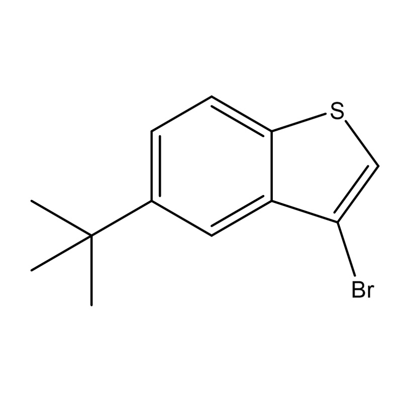 3-Broom-5-(tert-butyl)benzo[b]thiofeen