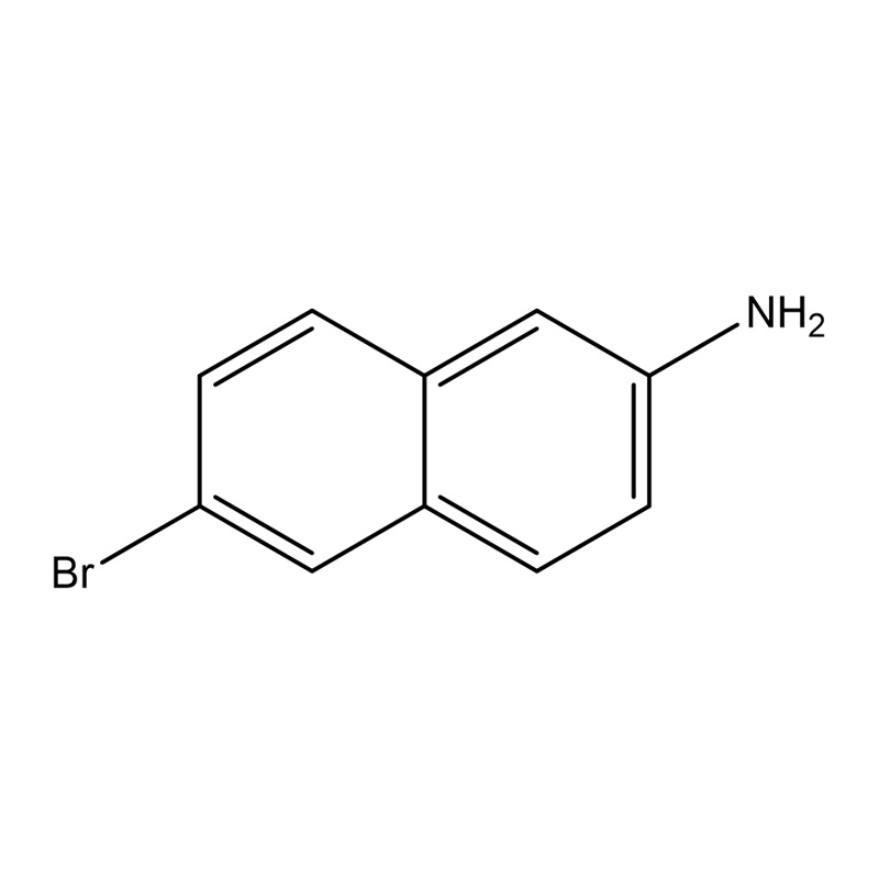6-Broomonaftaleen-2-amine