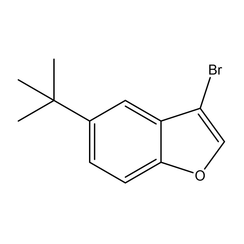 3-Broom-5-tert-butylbenzofuran